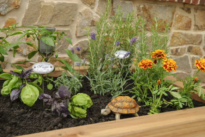 32 by 48 elevated garden planter.